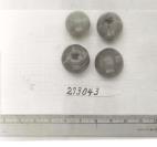 Click for 1 image(s) for this accession. FRUIT